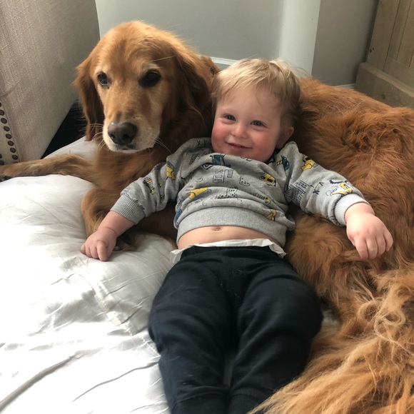 Meet your Posher, Caitlin - Picture 3 of 4